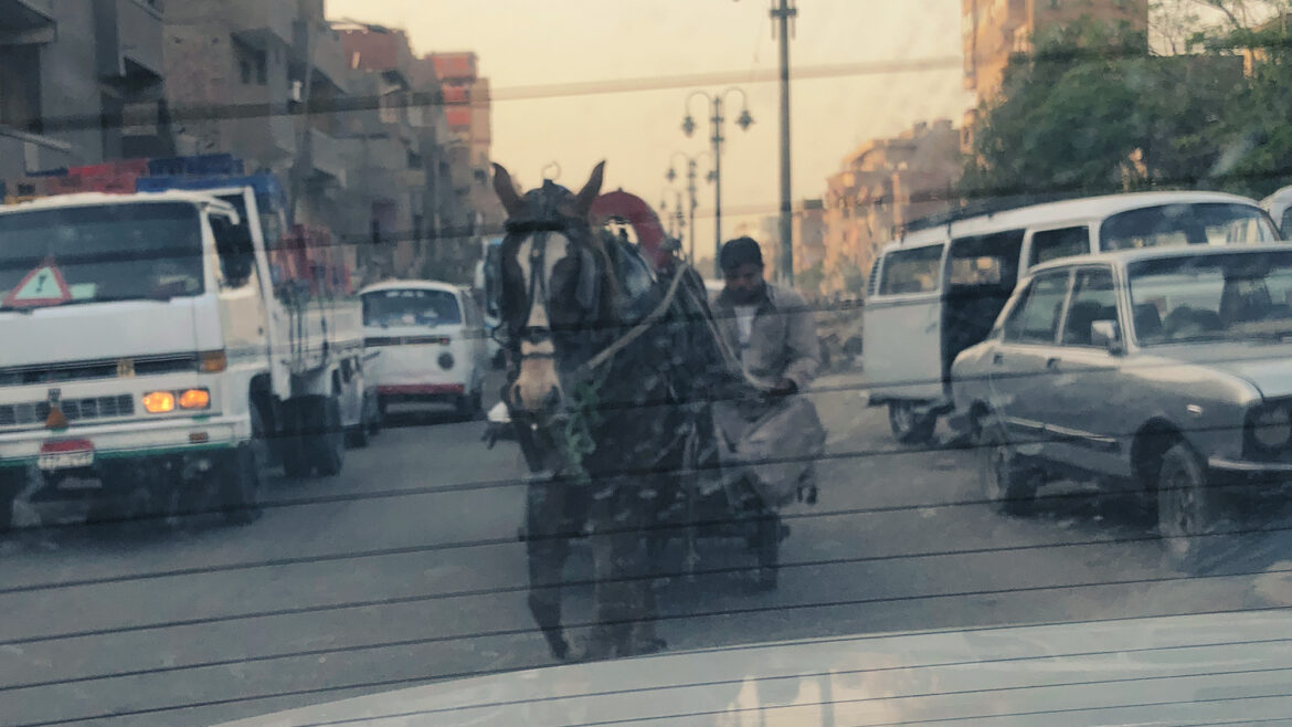 häst och vagn i trafiken i kairo