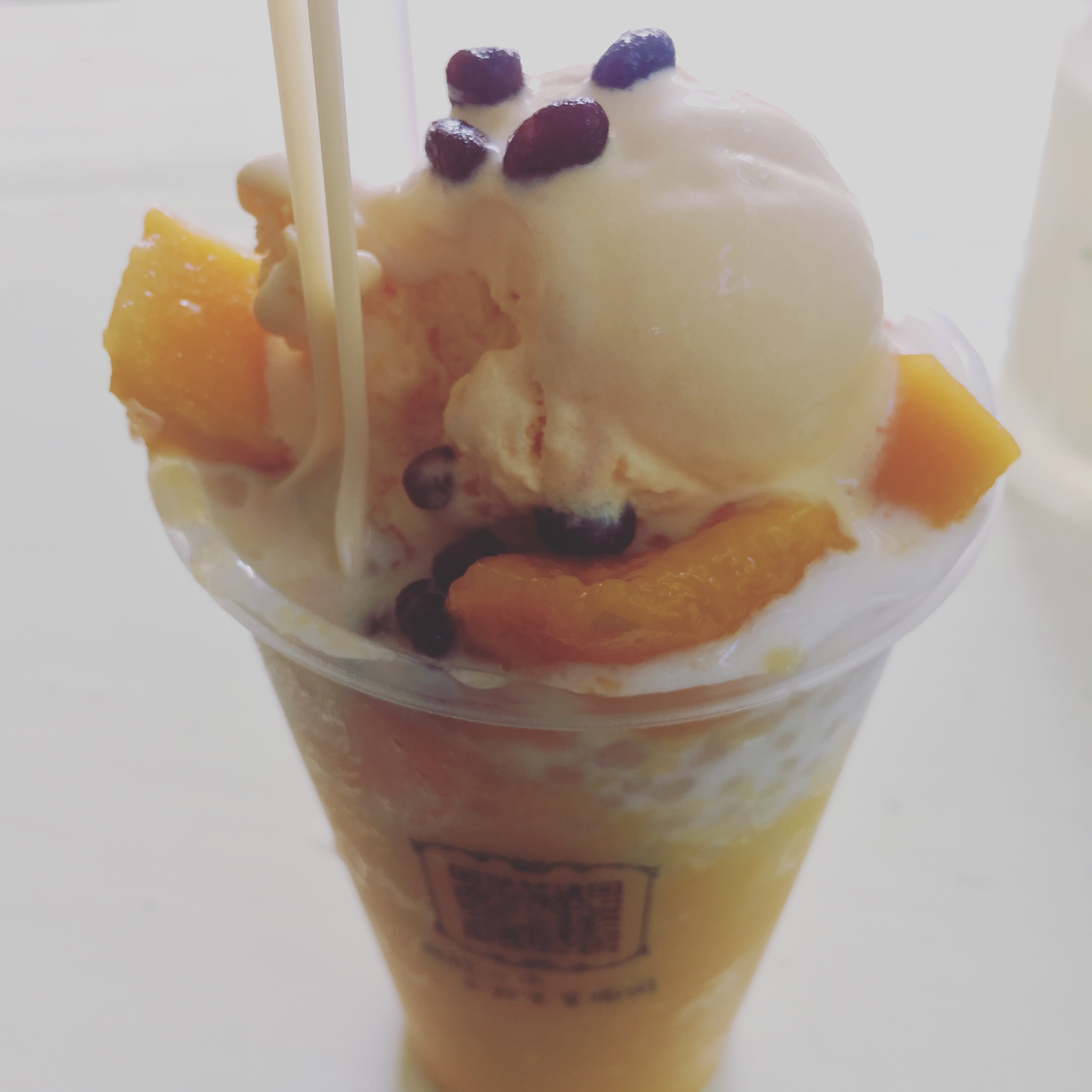 tapiocapudding