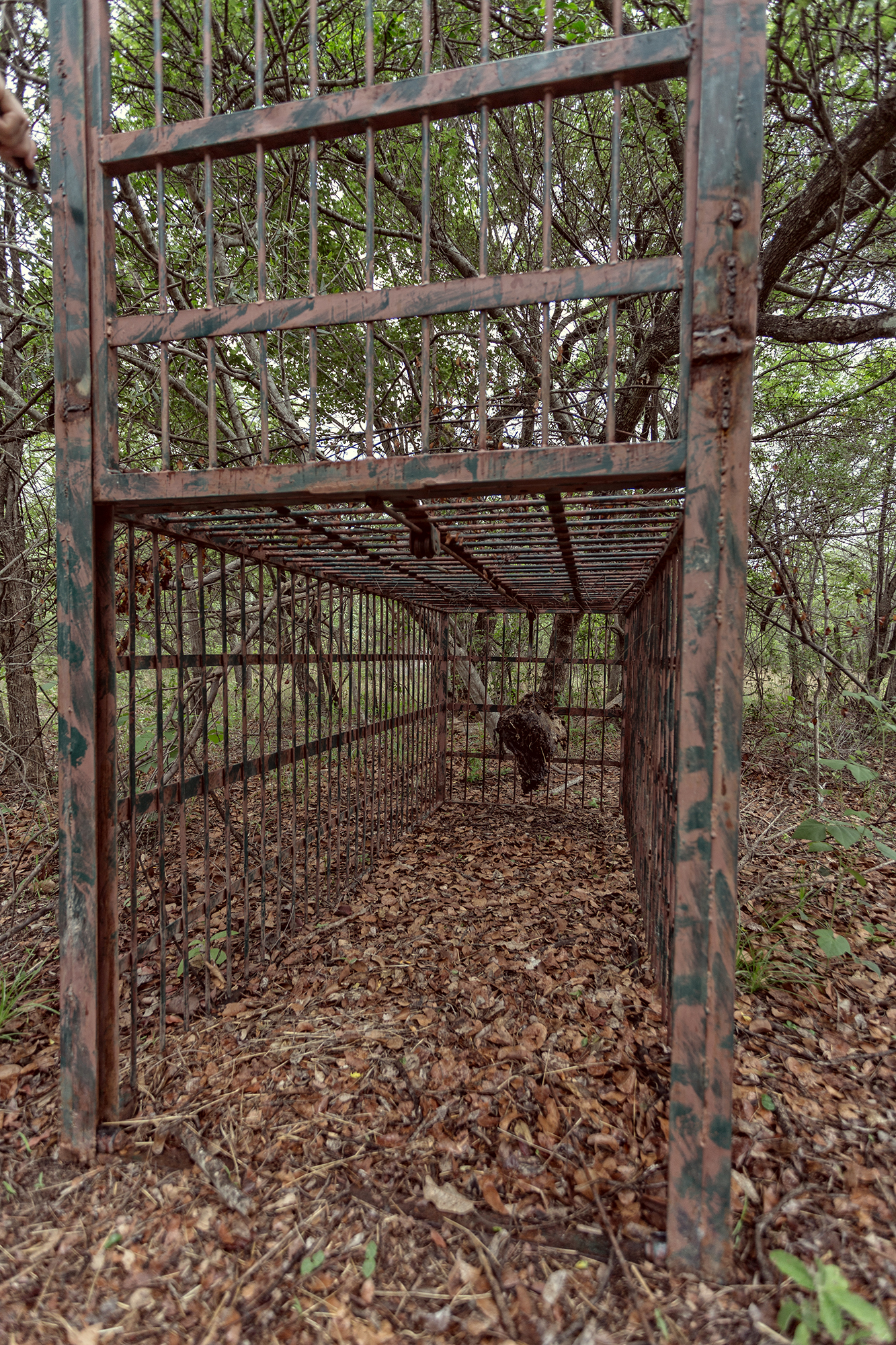 cage in matobos national park