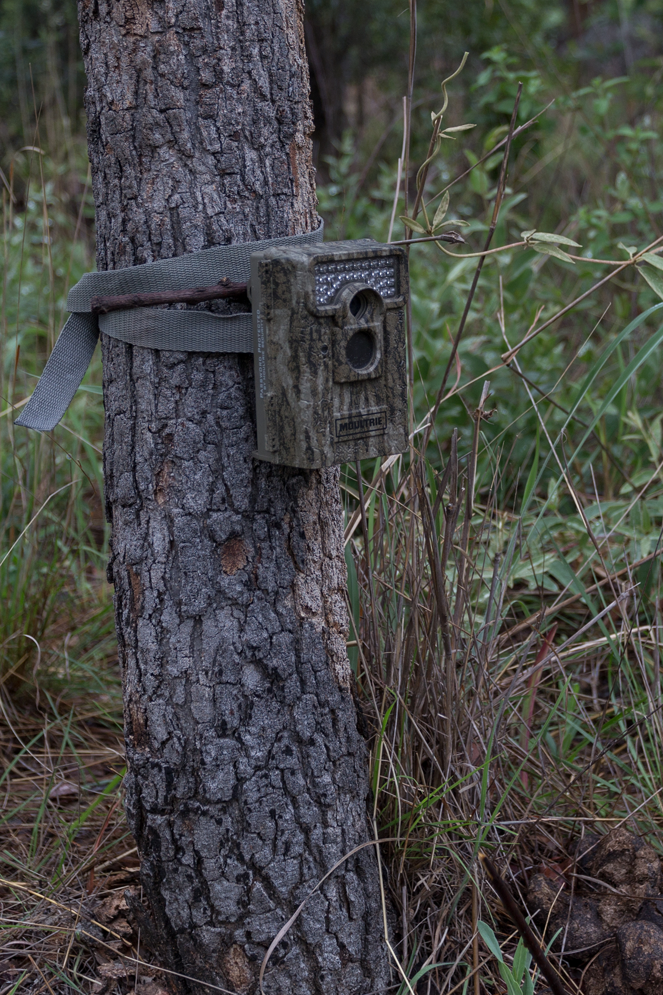 matobos national park wildlife camera