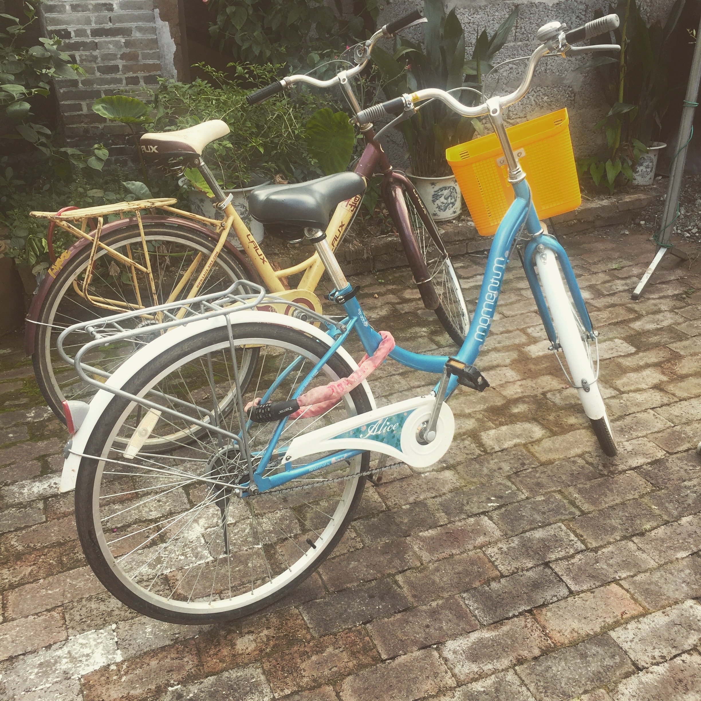 my chinese bike yangshuo china