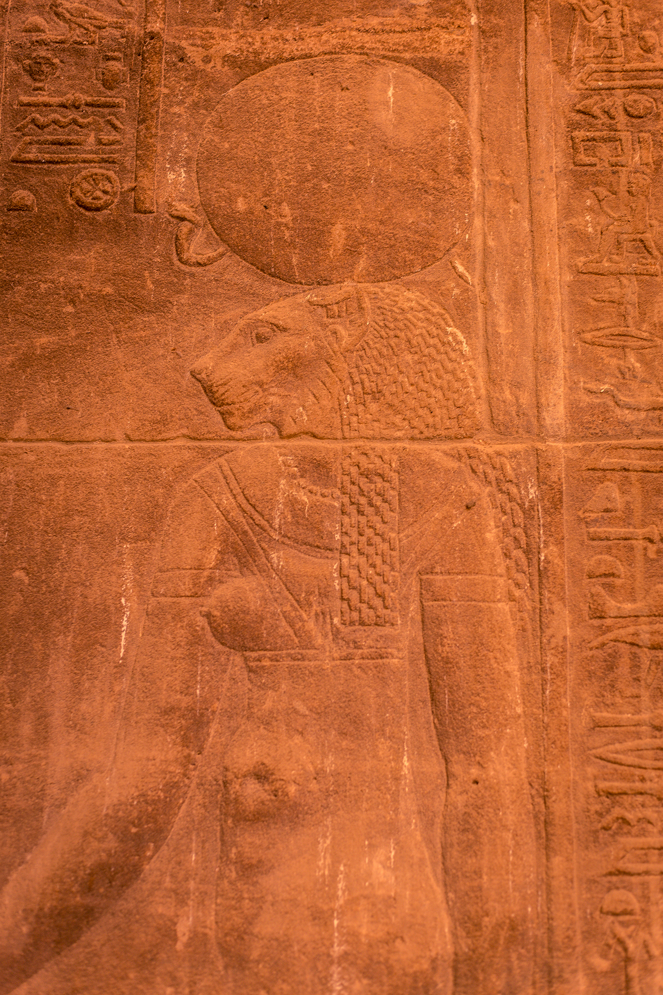 bastet hieroglyph in philae temple