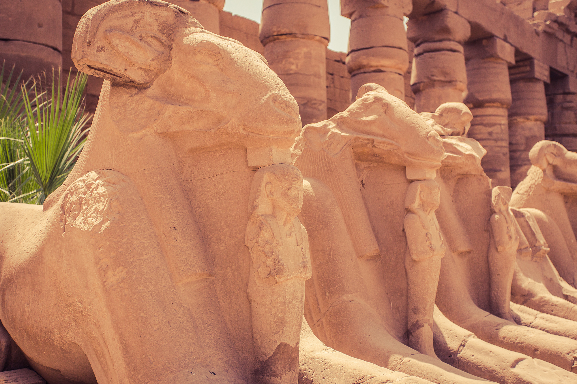 way of the rams in karnak temple