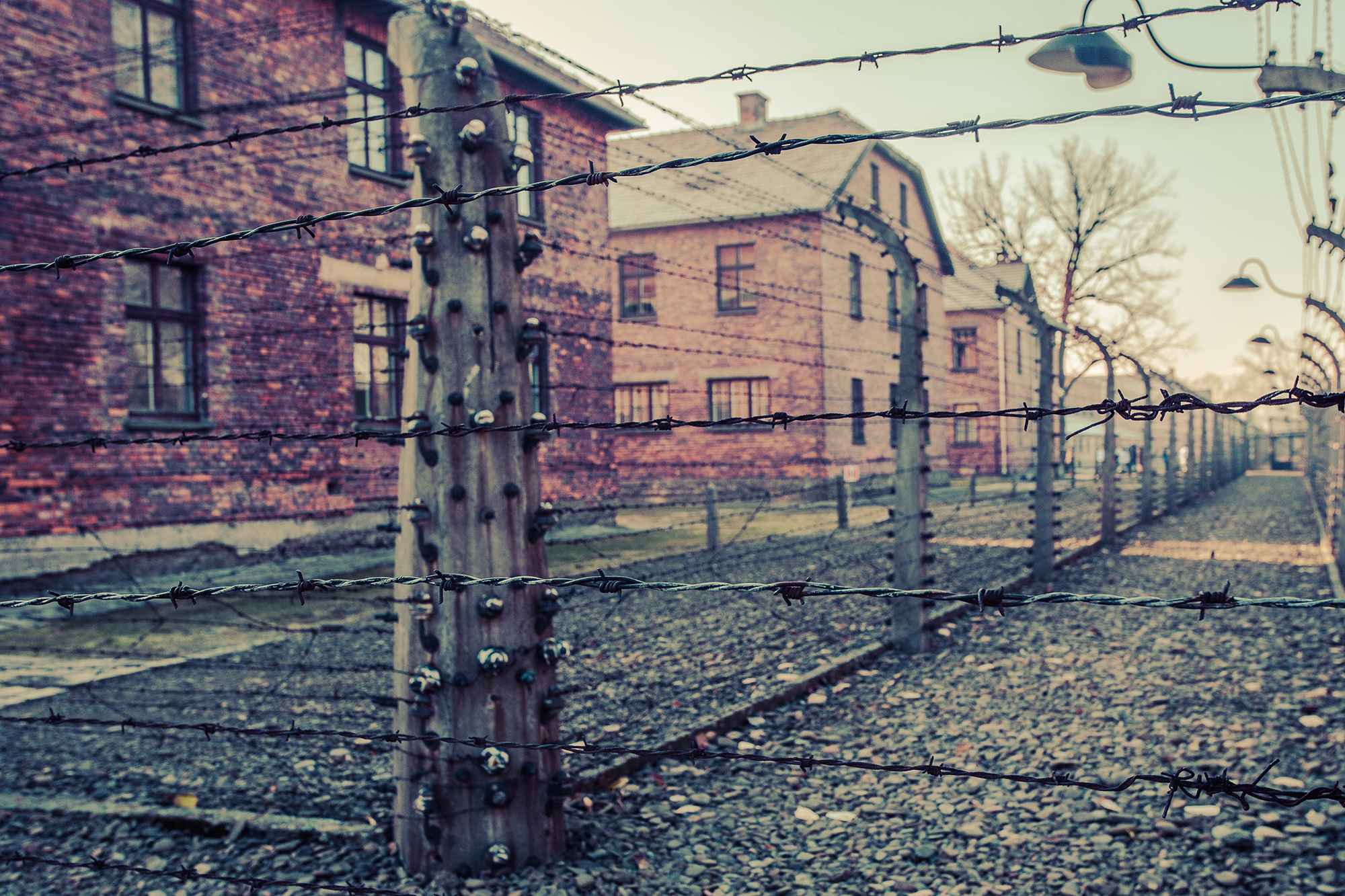 auschwitz-birkenau barracks