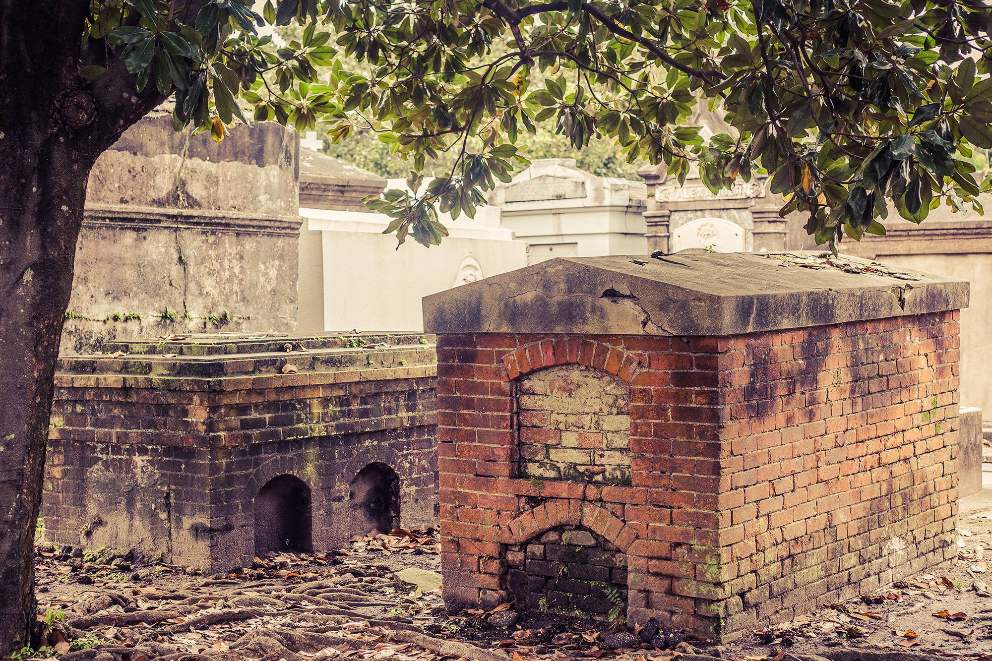 oldest graves on lafayette no 1