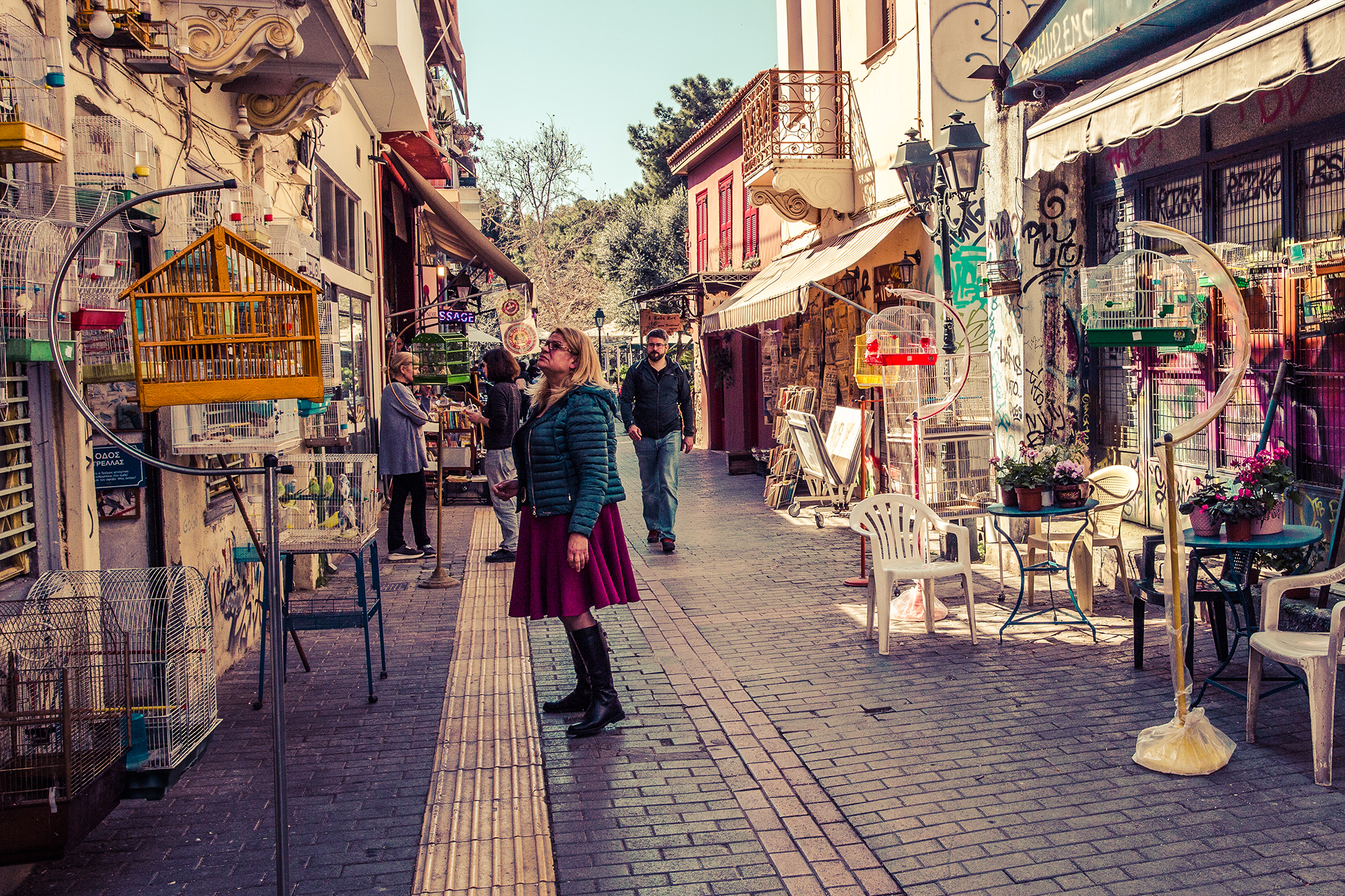 monastiraki flea market bird cages