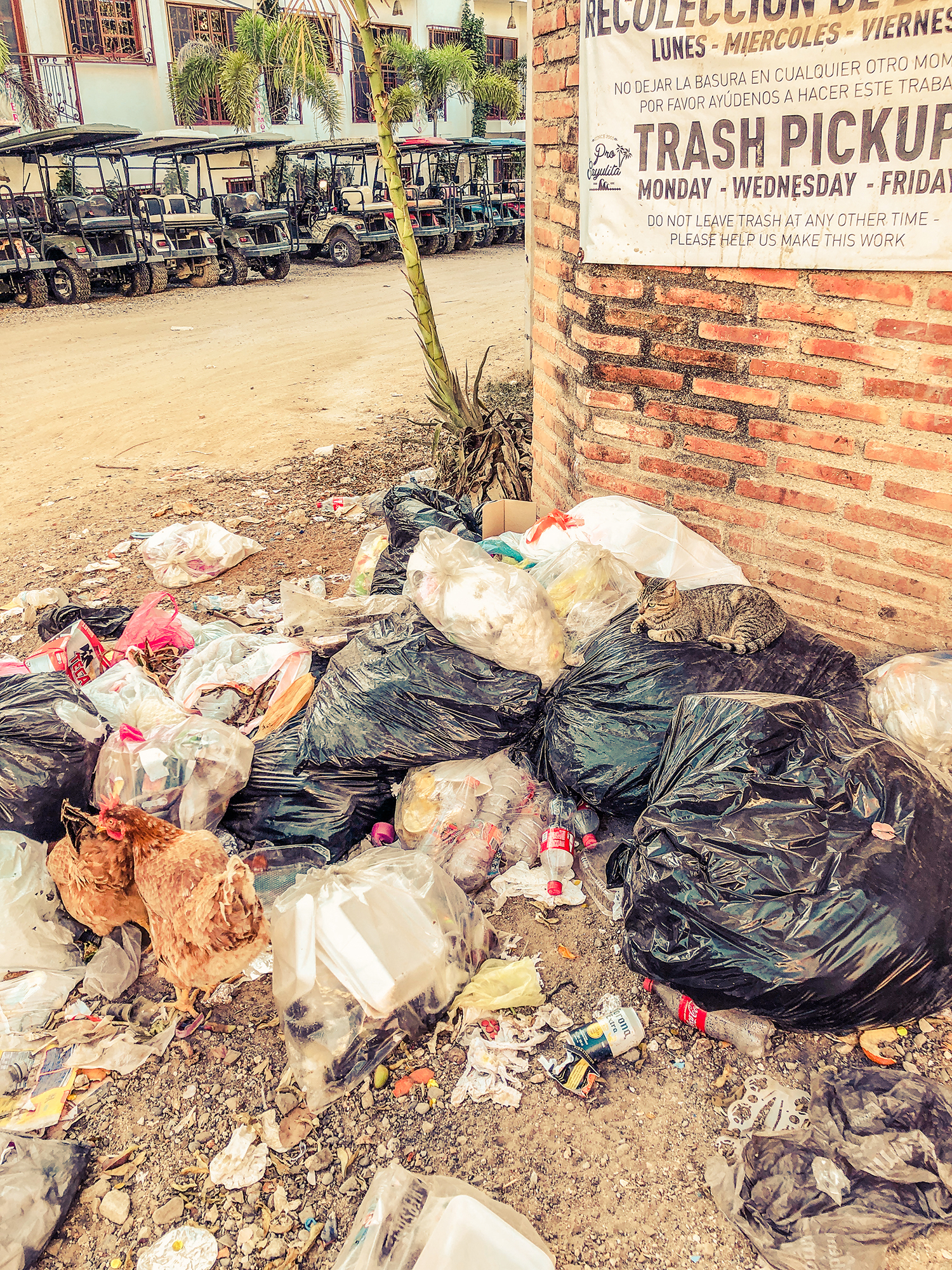 dump in the streets sayulita nayarit