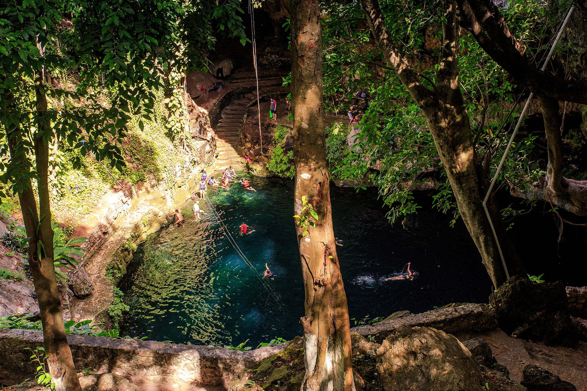 people swimming in a cenote in valladolid
